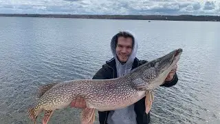 Pike releases rock lake👍 (MONSTER PIKE CAUGHT!!!!)