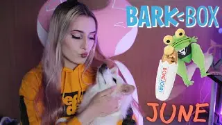 A French Themed Barkbox! June Barkbox Opening
