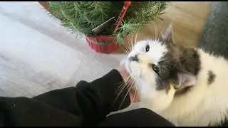 A KEIRABUG & RHYMESTYLE VLOGMAS #2