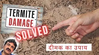 How to do Termite Treatment ? Get rid of termites permanently. दीमक कैसे हटाये ? Interiordost