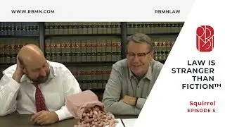 Law Is Stranger Than Fiction | Episode 5 Squirrel