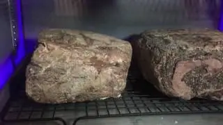 Monster Fridge Meat Ager
