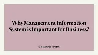 MBA: 501 Management Information Systems Final