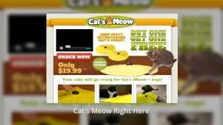 Petco Coupons