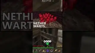 Brewing Stands Change Everything in Minecraft 🧪🔥