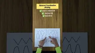 Bilateral coordination Activity#shorts#bilateral