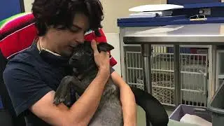 Austin Humane Society