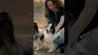 Woman Playing with Two pet Dogs 😍 | Funniest Dogs Videos 😺😍 #reels #dog #cutedog