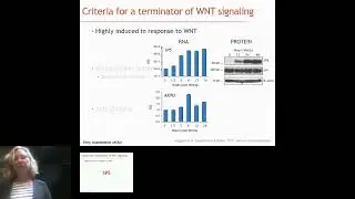 Heads or Tails?  Systems Biology of Wnt Signaling in Stem Cell... - Terry Gaasterland - LA 2022