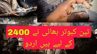   لوری ڈاک کبوتر منڈی کا شوق کریں