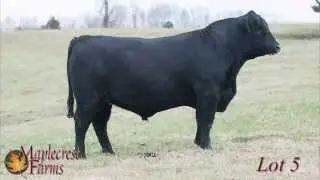 Lot 5, Maplecrest Capitalist J2230