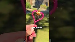 what HEART sparklers look like