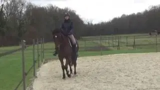 Galop 2 Partir au galop