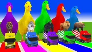 Long Slide Game with Cow Elephant Gorilla Hippopotamus Tiger 3d Animal Game Funny 3d Animals