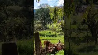 Paisaje .. para recrar la vista
