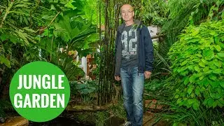 Grandfather transforms back garden into rain forest