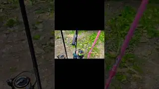 Roix Spotty 632ul и командная работа с дочкой #itc #fishing #area #рыбалка #roix
