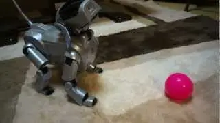AIBO ERS-111 Startup