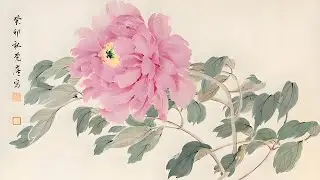 🇨🇳花鸟画家陈肖华作品🇨🇳