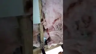 3- the wet rot was only as bad as the burned wood.