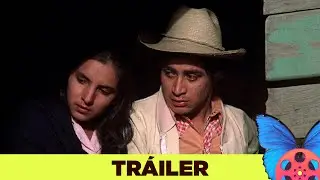 El Norte (1983) | IFF Panam&aacute; 2024