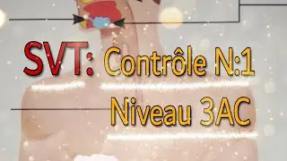 contrôle N:1 SVT 3AC