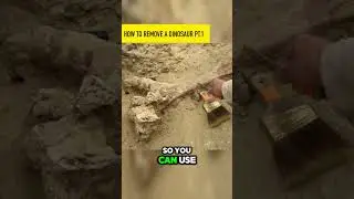 Dino Bone Rescue! How We Transport Delicate Fossils Safely 🚚🦴