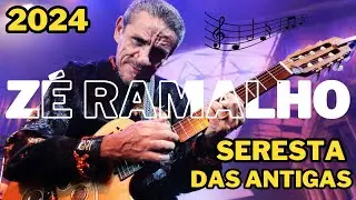 🎹 ZÉ RAMALHO 🎹 MAIORES SUCESSOS DE ZÉ RAMALHO | SELEÇÃO COMPLETA 2024