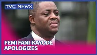 Fani-Kayode Apologizes, Withdraws Use Of &lsquo;Stupid&rsquo; During Encounter With Journalist