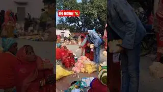 Big Money Prank 🤣 #shorts #ulkspublic #prank #money #funny #reaction
