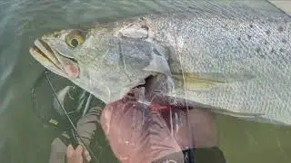 Fishing flats in St. George Island Florida.  Jan 2026