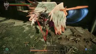 Darksiders III - Fury vs Angelic Champion (Apocalyptic /w no upgrades)
