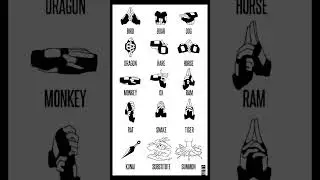 🔥 Master the Legendary Naruto Hand Signs! 🥷⚡ #naruto #signs #team7 #animeshorts #shortsfeed