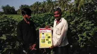 Krushi tek Pvt.ltd.satara (mh) ecoside product result