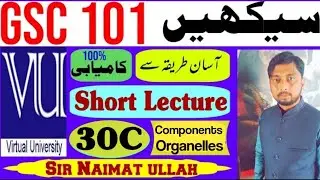 GSC101 Short Lecture 30C|Short Lecture 30|Cellular Component|Organelles|Virtual University|VU.
