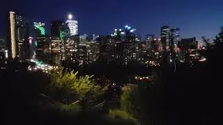Calgary skyline at night.