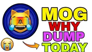 Почему упала Mog Coin? 😟 | Следующий шаг Mog Coin? Новое обновление Mog Coin сегодня | Новости Mo...