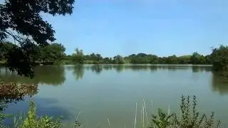 Walnut Woods Metro Park
