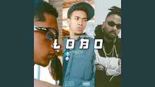 Lobo