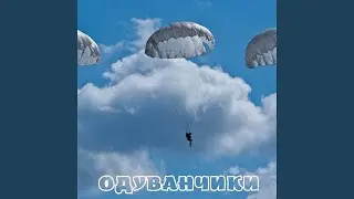 Десант и ВВ