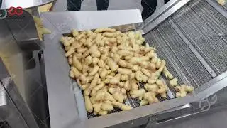 Ginger Powder Production Line Ginger Processing Plant