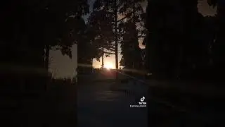 23 января 2024 г.