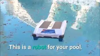 Solar Breeze &ndash; Automatic Pool Cleaner NX2 Cleaning Robot