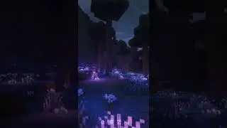 No Shaders VS Solas Shaders  #minecraft #shaders