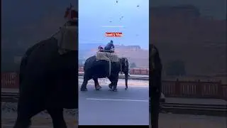 Rajasthan In Winter 🧥 colder days warmer heart's❤️ #winter #november #rajasthan #trending #viral