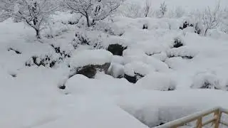 #manali #solangvalley #snowfall2019 #4k #uhd 4K UHD I HEAVY SNOWFALL I MANALI 2019 JANUARY 1