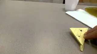 Paper frog!
