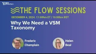 Why We Need a VSM Taxonomy