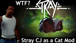 Stray the Made CJ into a Cat