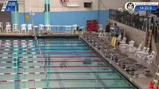 Tualatin Hills Swim Club Live Stream